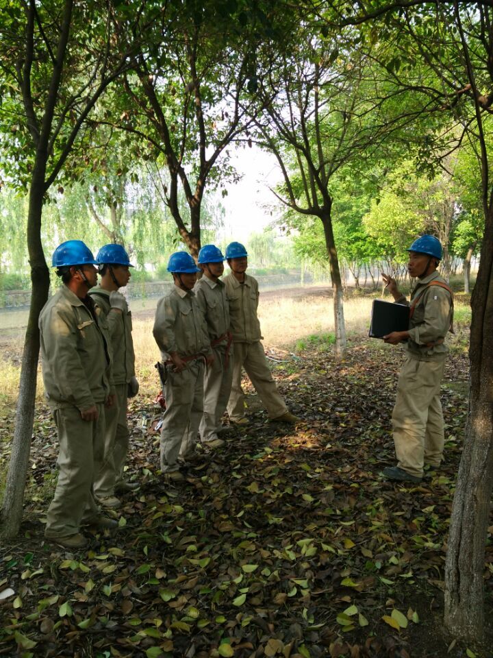 游艇会·yth206(中国)最新官方网站